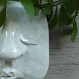 Crazy Planter Head - thumbnail 3