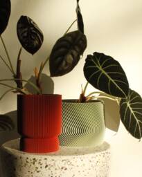 Set Of 2 Plant Pots Elif & Mayla 3Dprinted in Pistaccio Green + Amarena Red - thumbnail 1