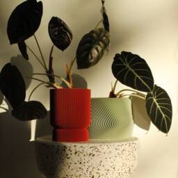 Set Of 2 Plant Pots Elif & Mayla 3Dprinted in Pistaccio Green + Amarena Red - thumbnail 2