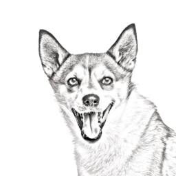 Norwegian Lundehund - Wooden Stand For Candles/Pens With The Image Of A Dog New Collection - thumbnail 2