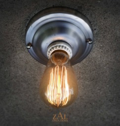 Flush Mount Ceiling/Wall Light, Sconce. Steel. Steampunk, Industrial, Edison