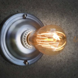 Flush Mount Ceiling/Wall Light, Sconce. Steel. Steampunk, Industrial, Edison - thumbnail 2