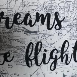 "Airplane Pillow ""Let Your Dreams Take Flight" - thumbnail 4