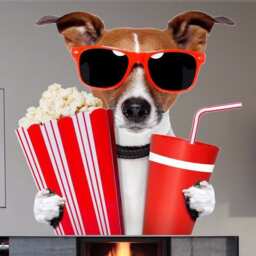 Dog Wall Sticker, Funny Dog, Movie Night Decal, Animal Decor Cfb 77 - thumbnail 4