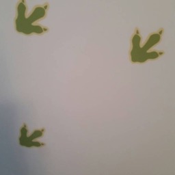 Dinosaur Feet Tracks Wall Decor - thumbnail 3