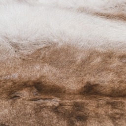 Giant Nordic Reindeer Rug Ethically Sourced Scandinavian Fur Carpet - thumbnail 4