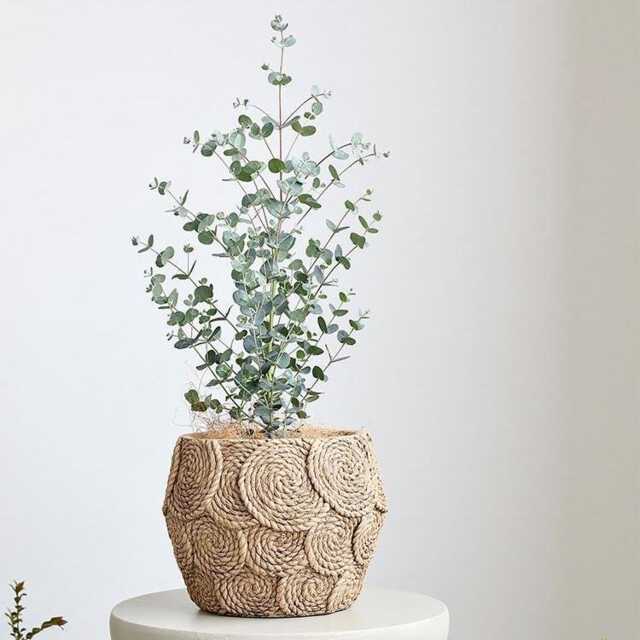 Handwoven Rattan Indoor Planter, Engraved Home Decor - image 1