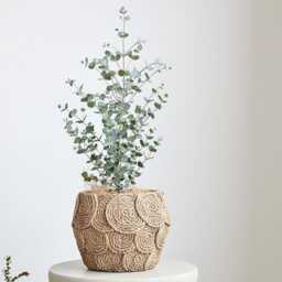 Handwoven Rattan Indoor Planter, Engraved Home Decor - thumbnail 1