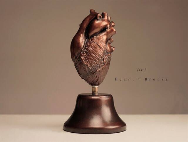 Heart - Cor - image 1