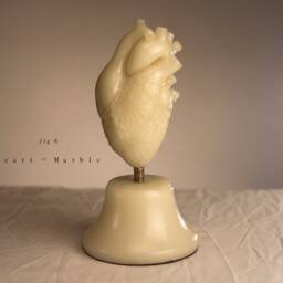 Heart - Cor - thumbnail 2