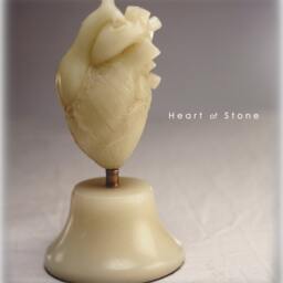 Heart - Cor - thumbnail 4