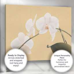 White Phalaenopsis Orchid On Warm Beige Background Botanical Canvas Wall Art Print Decor Picture Ready To Hang - thumbnail 3