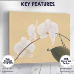 White Phalaenopsis Orchid On Warm Beige Background Botanical Canvas Wall Art Print Decor Picture Ready To Hang - thumbnail 1