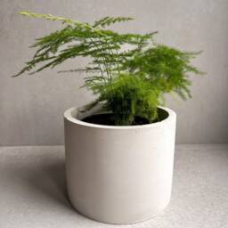 Concrete Planter With Drainage, Simple Plant Pot, Round Planter, Decorative Cement Minimalist, Nordic, Medium Japandi Decor - thumbnail 3