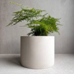 Concrete Planter With Drainage, Simple Plant Pot, Round Planter, Decorative Cement Minimalist, Nordic, Medium Japandi Decor - thumbnail 2