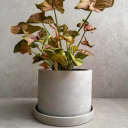 Concrete Planter With Drainage, Simple Plant Pot, Round Planter, Decorative Cement Minimalist, Nordic, Medium Japandi Decor