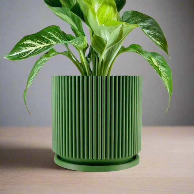Mid-Century Modern Pot in Matte Olive Green, Pots With Drainage & Saucer, Succulent, Cacti House Plant Planter, Lightweight - image 1