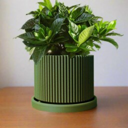 Mid-Century Modern Pot in Matte Olive Green, Pots With Drainage & Saucer, Succulent, Cacti House Plant Planter, Lightweight - thumbnail 2