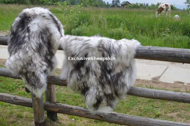 Sheepskin Icelandic White-Black Genuine Lambskin Sheep Skin Rug Pelt Long Wool Soft Throw, Schaffell, Hygge - image 1