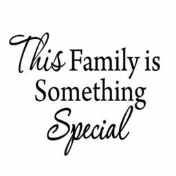 Vwaq This Family Is Something Special Wall Decal Decals 1621 - thumbnail 2