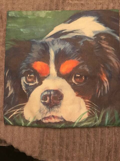 Good Dog King Charles Spaniel Indoor/Outdoor Zippered Pillow Cover - image 1