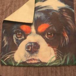 Good Dog King Charles Spaniel Indoor/Outdoor Zippered Pillow Cover - thumbnail 2