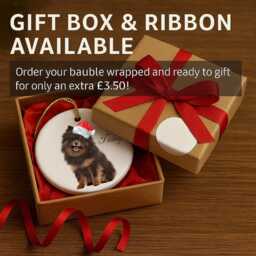 Pomeranian Dog Christmas Ornament - Personalised Festive Bauble With Santa Hat & Name - thumbnail 3
