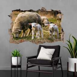 Sheep Lambs Wall Decal Sticker Mural Poster Print Art Farmhouse Home Decor Bd39 - thumbnail 3