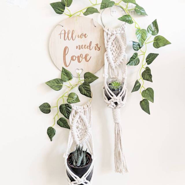 Macrame Plant Hanger/Mini Wall Hanging Planter - image 1