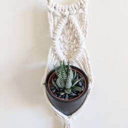 Macrame Plant Hanger/Mini Wall Hanging Planter - thumbnail 3