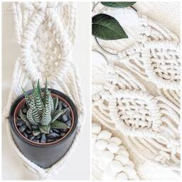 Macrame Plant Hanger/Mini Wall Hanging Planter - thumbnail 2