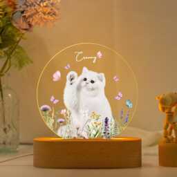 Custom Pet Portrait Night Light, Pet Memorial Gift, Cat Mom Gift, Pet Photo Lamp, Cat Loss Gift, Sympathy Gift, Gift For Dog Lover, Dog Gift - thumbnail 1