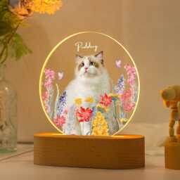 Custom Pet Portrait Night Light, Pet Memorial Gift, Cat Mom Gift, Pet Photo Lamp, Cat Loss Gift, Sympathy Gift, Gift For Dog Lover, Dog Gift - thumbnail 2