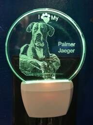 Pet Photo Your Dog Custom Etched Nightlight Picture Portrait Lighted Memorial Personalized Engraved Keepsake Best Friend