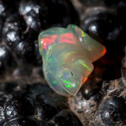 Opal Multicolor Flower Carving - 1.9 Cts - thumbnail 1