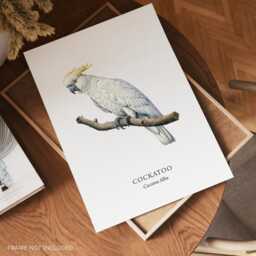Cockatoo Bird Wall Print, Parrot Poster Home Decor, Love Gift, Pets - thumbnail 2