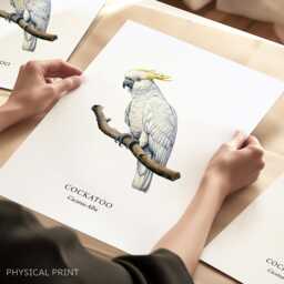 Cockatoo Bird Wall Print, Parrot Poster Home Decor, Love Gift, Pets - thumbnail 1