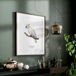 Cockatoo Bird Wall Print, Parrot Poster Home Decor, Love Gift, Pets - thumbnail 3