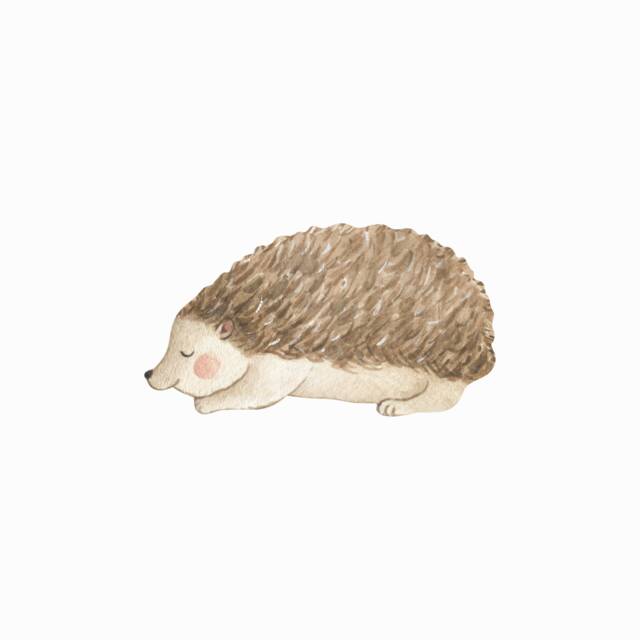 Sleepy Hedgehog Fabric Wall Sticker - Removable & Reusable - image 1