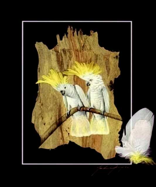 Sulphur Crested Cockatoo Print With Real Feathers On Paperbark - image 1