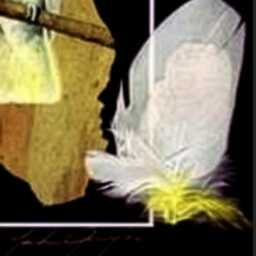 Sulphur Crested Cockatoo Print With Real Feathers On Paperbark - thumbnail 2