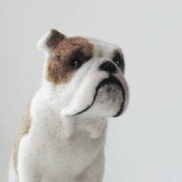 Custom Made Pet Sculpture, Needle Felted Dog, English Bulldog, French Bulldog Or Any Other Breed - Made To Order - thumbnail 2