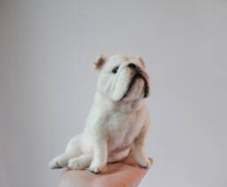 Custom Made Pet Sculpture, Needle Felted Dog, English Bulldog, French Bulldog Or Any Other Breed - Made To Order