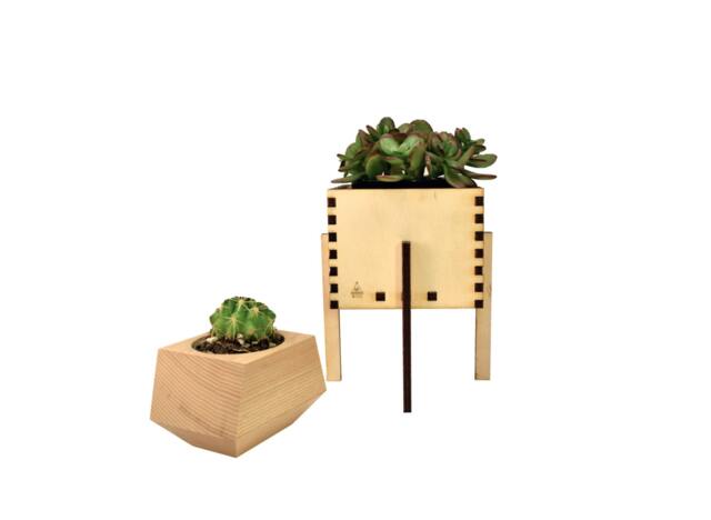 Wooden Planter & Stand, Minimalist Box & Plant Succulent Planter, Handcrafted in Portland, Oregon - image 1