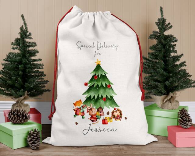 Personalised Christmas Sack, Eve Stocking, Bag, Father Christmas, Present Box - image 1
