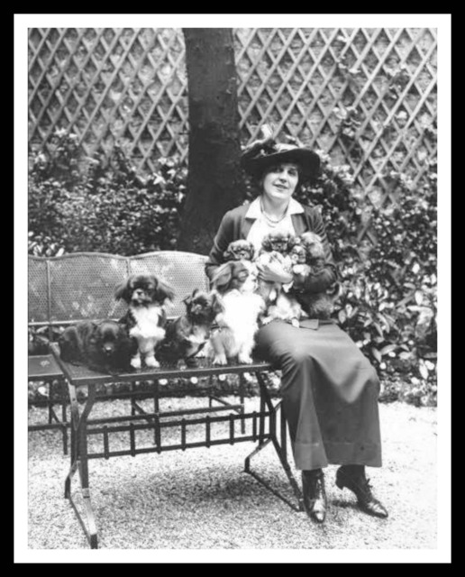 Vintage Historic Reproduction Photo French Woman With Puppies Unframed