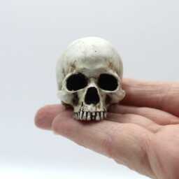 Skull Figurine Gothic Ornament For Collectors - thumbnail 2