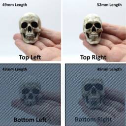 Skull Figurine Gothic Ornament For Collectors - thumbnail 3