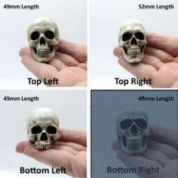 Skull Figurine Gothic Ornament For Collectors - thumbnail 4