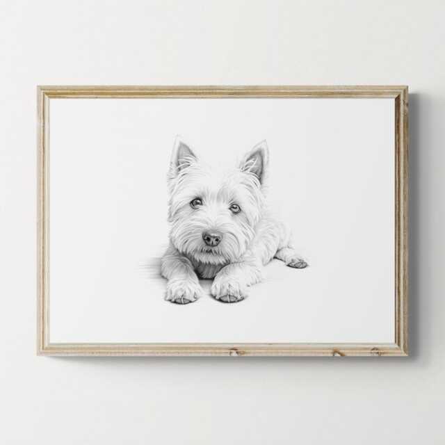 West Highland White Terrier Print, Cute Dog Vintage Sketch, Farmhouse Decor, Westie Gifts - image 1